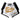 Fairtex x MTGP Muay Thai Shorts - UK Fight Gear
