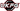 UKFG Logo PNG