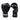 BGVL14 Twins Boxing Gloves Black