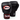 Twins Special BGVL3 Muay Thai Boxing Gloves
